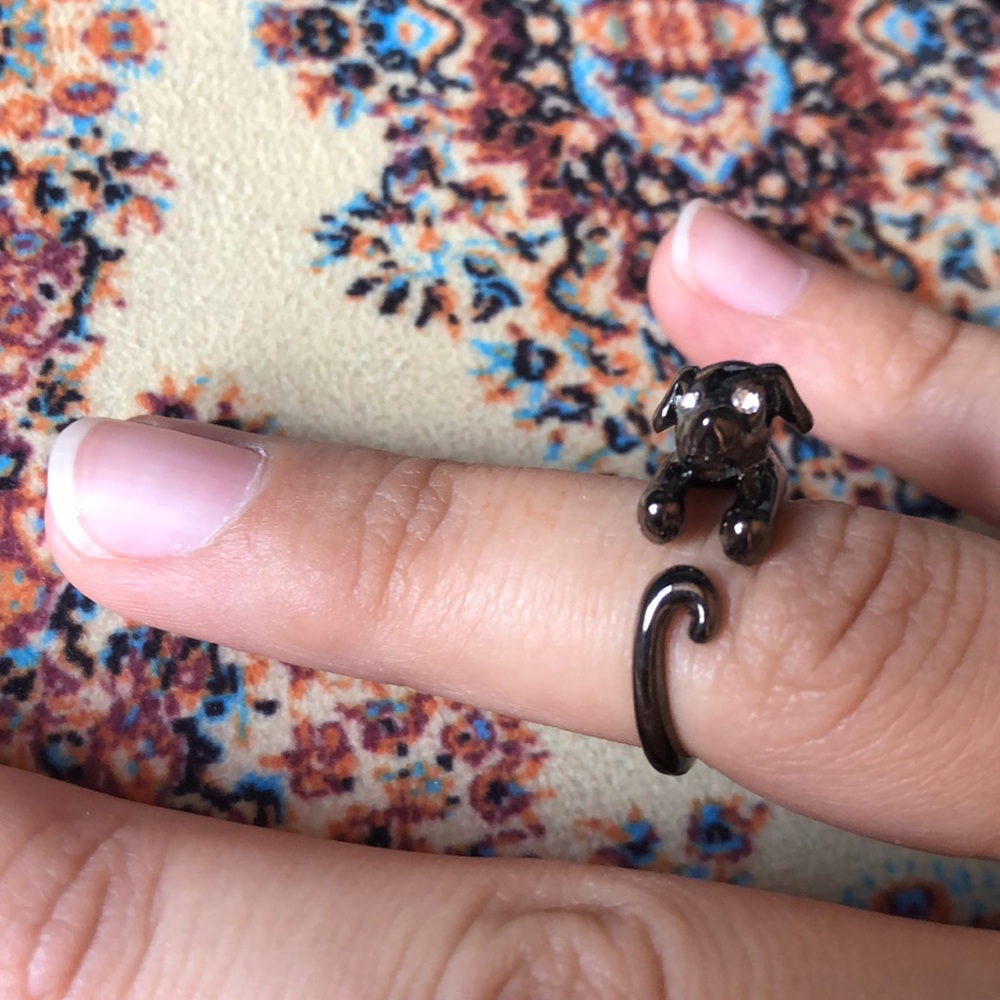 🌀Dog Ring
